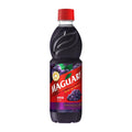 Grape Juice Concentrate Maguary 500ml 